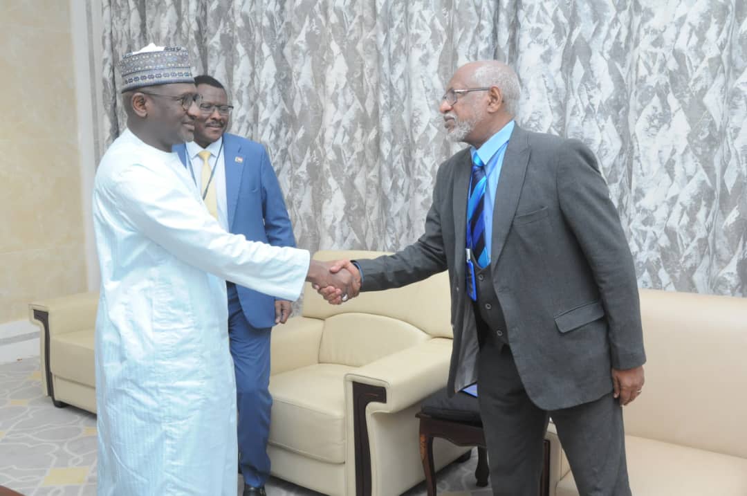 وفد السودان المشارك في الدورة العامة ال (87) للمفوضية الأفريقية لحقوق الإنسان والشعوب ببانجول يدعو ل